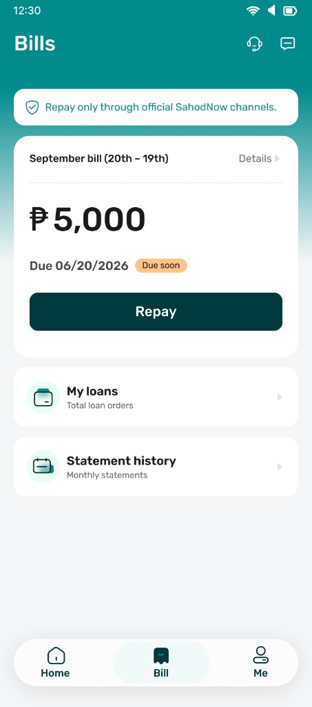 Your bill and repayment